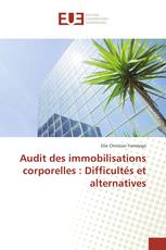 Audit des immobilisations corporelles : Difficultés et alternatives