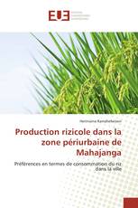 Production rizicole dans la zone périurbaine de Mahajanga