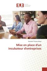 Mise en place d'un incubateur d'entreprises