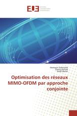 Optimisation des réseaux MIMO-OFDM par approche conjointe