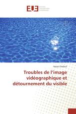 Troubles de l’image vidéographique et détournement du visible