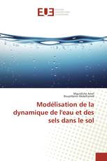 Modélisation de la dynamique de l'eau et des sels dans le sol