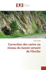 Correction des ravins au niveau du bassin versant de l'Ourika