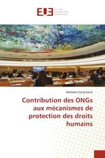 Contribution des ONGs aux mécanismes de protection des droits humains