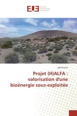Projet (H)ALFA : valorisation d'une bioénergie sous-exploitée