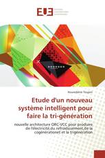 Etude d'un nouveau système intelligent pour faire la tri-génération