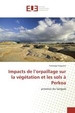 Impacts de l’orpaillage sur la végétation et les sols à Perkoa