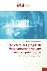 Structurer les projets de développement de type prive ou public-privé