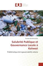 Salubrité Publique et Gouvernance Locale à Kolwezi