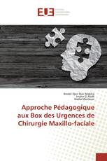 Approche Pédagogique aux Box des Urgences de Chirurgie Maxillo-faciale