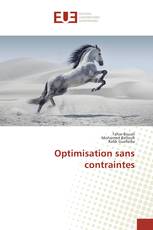 Optimisation sans contraintes