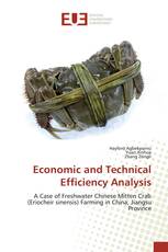 Economic and Technical Efficiency Analysis