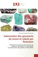 Valorisation des gisements de cuivre et cobalt par flottation