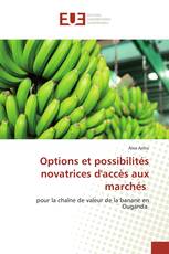 Options et possibilités novatrices d'accès aux marchés