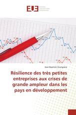 Résilience des très petites entreprises aux crises de grande ampleur dans les pays en développement