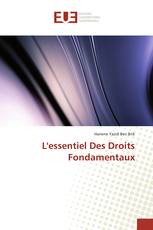L'essentiel Des Droits Fondamentaux