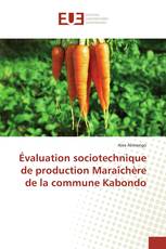 Évaluation sociotechnique de production Maraîchère de la commune Kabondo