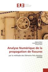 Analyse Numérique de la propagation de fissures