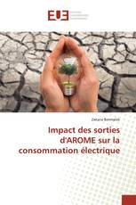 Impact des sorties d'AROME sur la consommation électrique