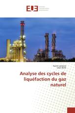 Analyse des cycles de liquéfaction du gaz naturel