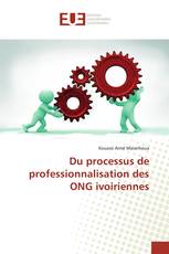 Du processus de professionnalisation des ONG ivoiriennes