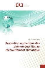 Résolution numérique des phénomènes liés au réchauffement climatique