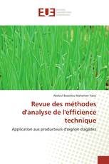 Revue des méthodes d'analyse de l'efficience technique