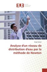 Analyse d'un réseau de distribution d'eau par la méthode de Newton