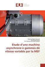 Etude d’une machine asynchrone à gammes de vitesse variable par la MEF