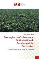 Strategies de Croissance et Optimisation du Rendement des Entreprises