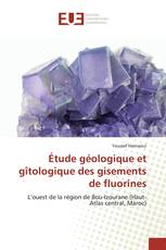 Étude géologique et gîtologique des gisements de fluorines