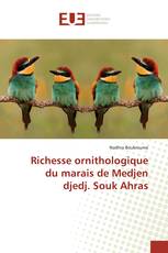 Richesse ornithologique du marais de Medjen djedj. Souk Ahras