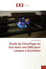 Étude du Chauffage du Gaz dans une DBD pour Lampes à Exciméres