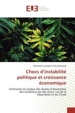 Chocs d’instabilité politique et croissance économique