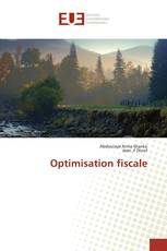 Optimisation fiscale