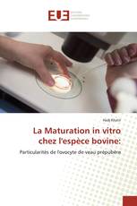 La Maturation in vitro chez l'espèce bovine: