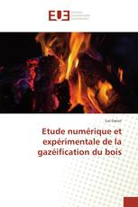 Etude numérique et expérimentale de la gazéification du bois