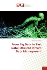 From Big Data to Fast Data: Efficient Stream Data Management