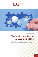 Stratégie de mise en œuvre des ODDs