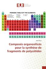 Composés organosilicés pour la synthèse de fragments de polycétides