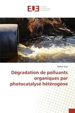 Dégradation de polluants organiques par photocatalysé hétérogène