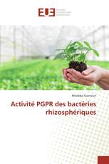 Activité PGPR des bactéries rhizosphériques