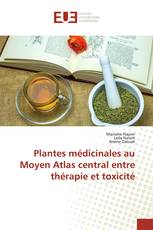 Plantes médicinales au Moyen Atlas central entre thérapie et toxicité