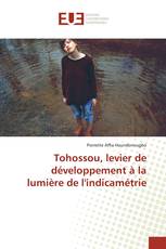 Tohossou, levier de développement à la lumière de l'indicamétrie