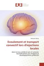 Ecoulement et transport convectif lors d'injections locales