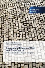 Causes and Effects of Cost and Time Overrun