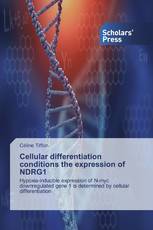 Cellular differentiation conditions the expression of NDRG1