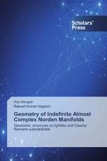 Geometry of Indefinite Almost Complex Norden Manifolds