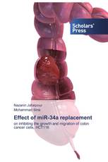 Effect of miR-34a replacement