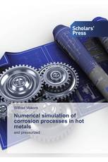 Numerical simulation of corrosion processes in hot metals